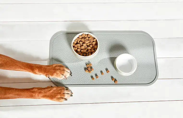 Rainbow Food Bowl Mat