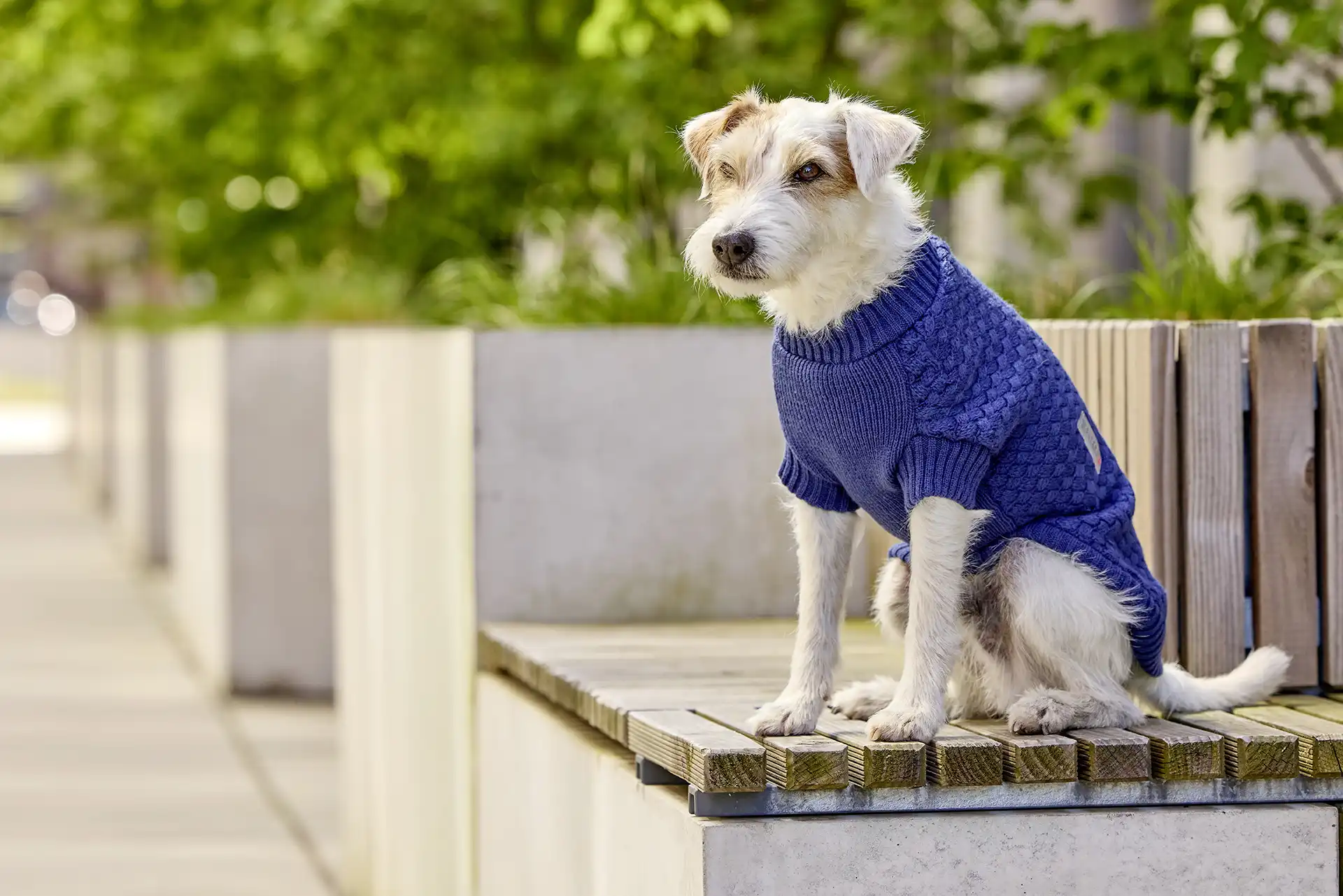 Strickpullover Square