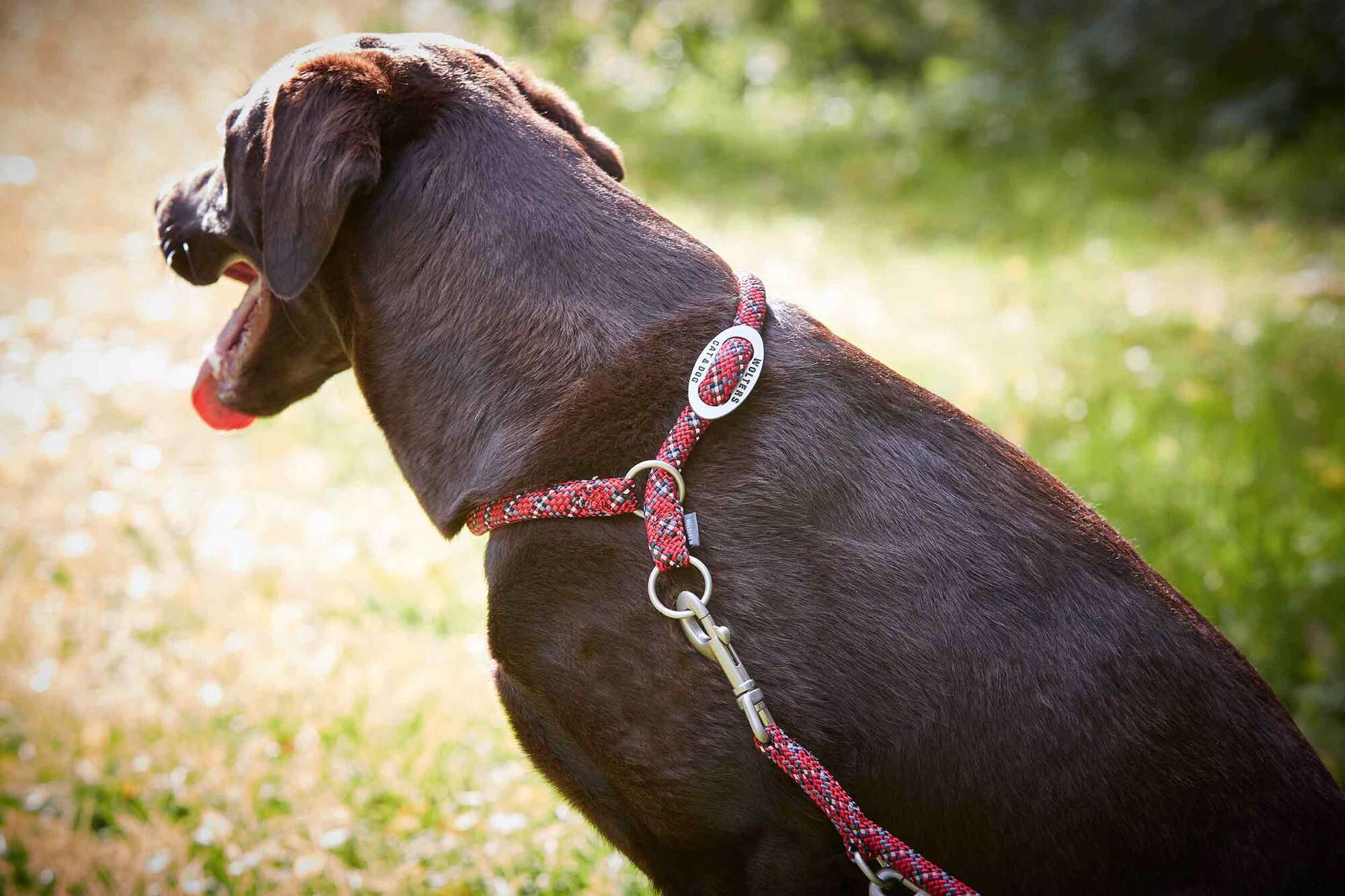 Everest rope programme slip collar