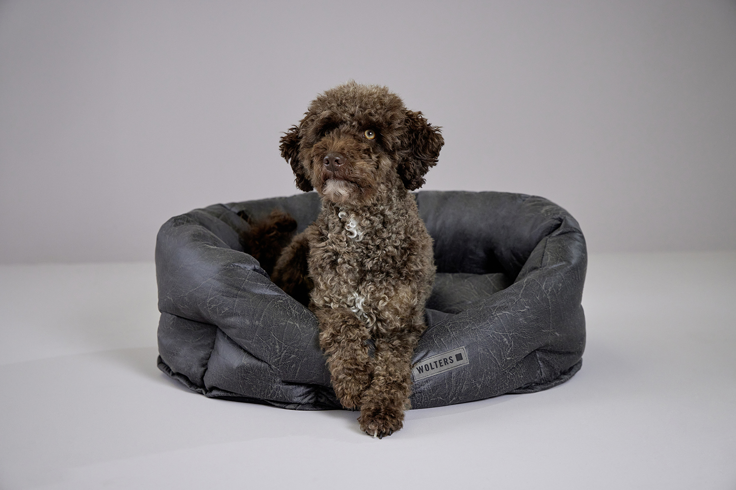 Vintage dog basket