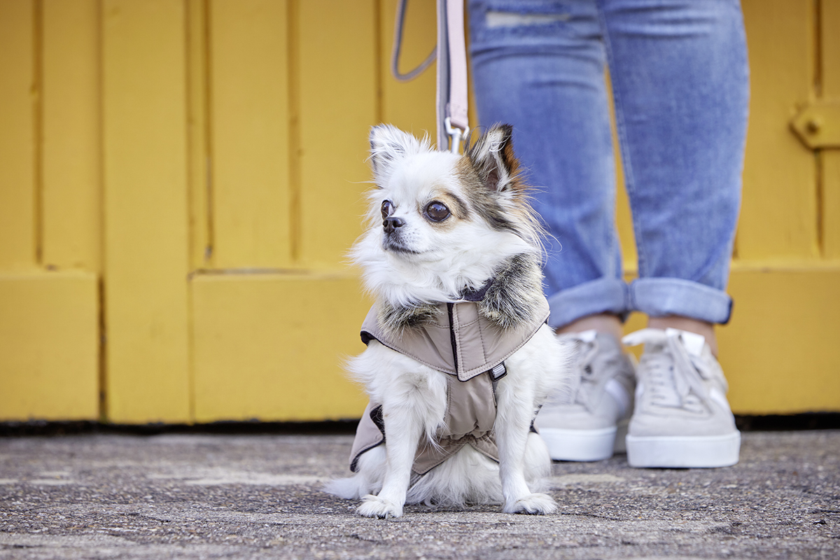 Winter Jacket Parka