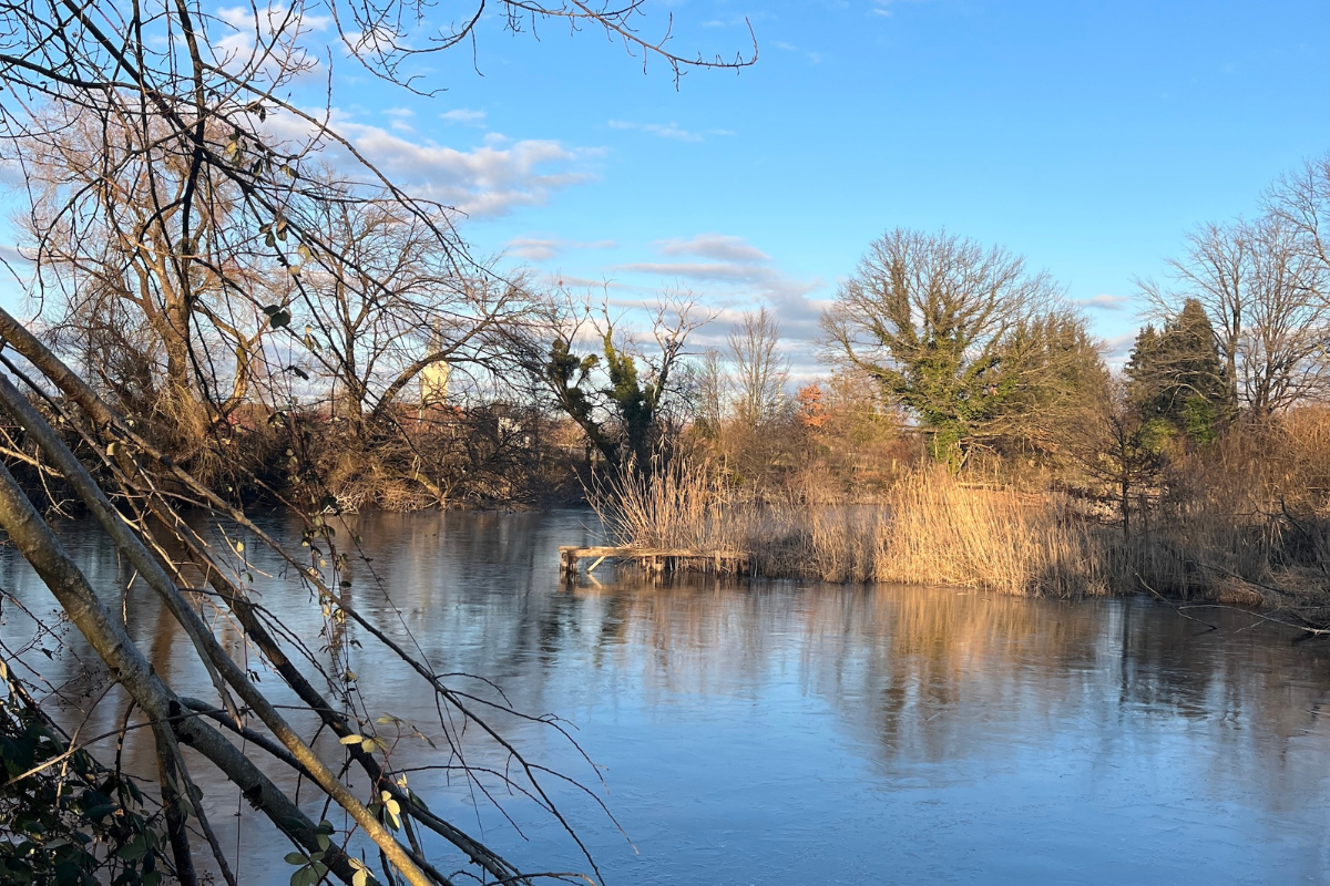 Wandern, Baden, Genießen – Urlaub am Bodensee mit Hund – Bild 5