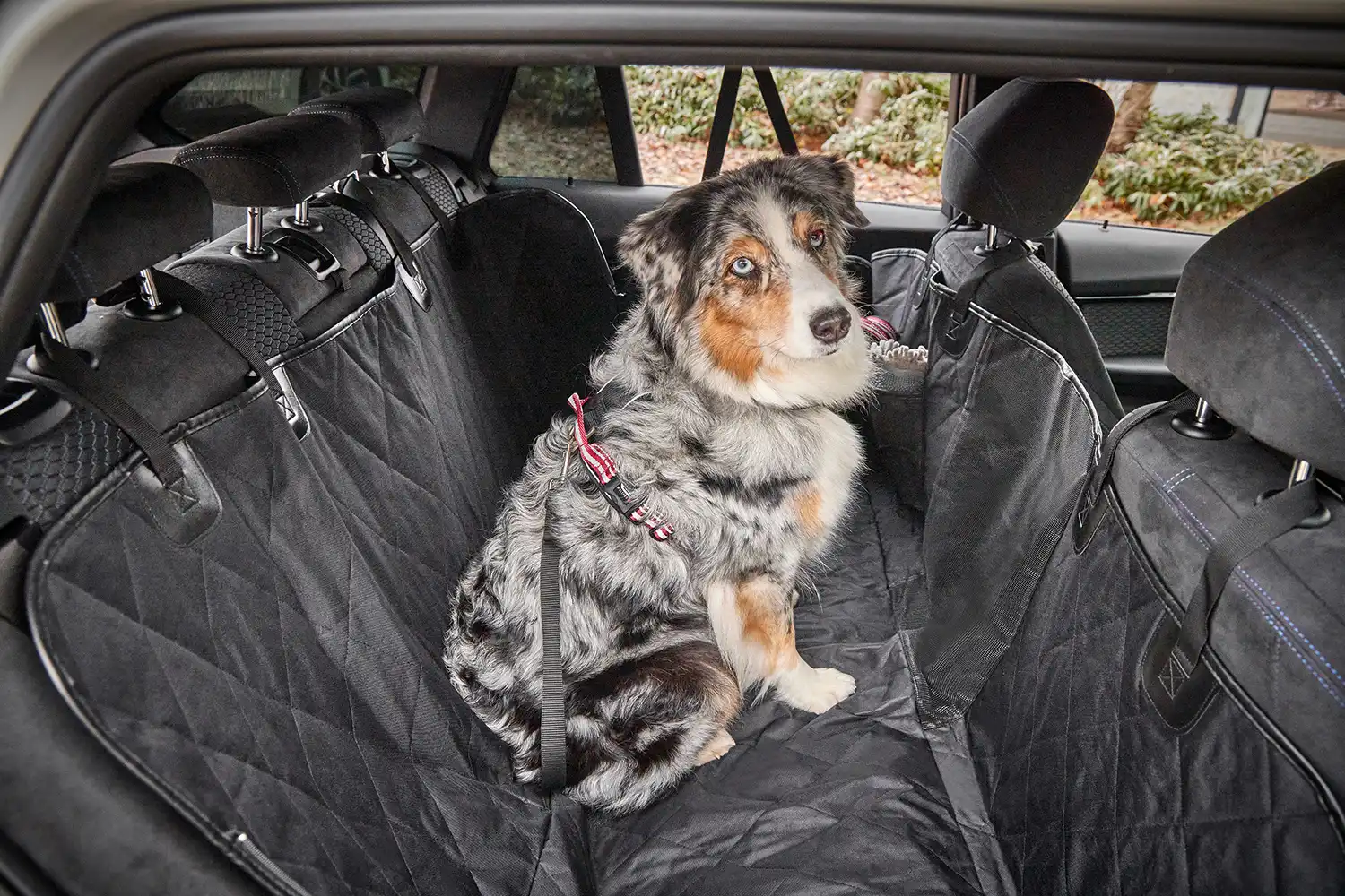 Clean Car Pet Backseat Cover