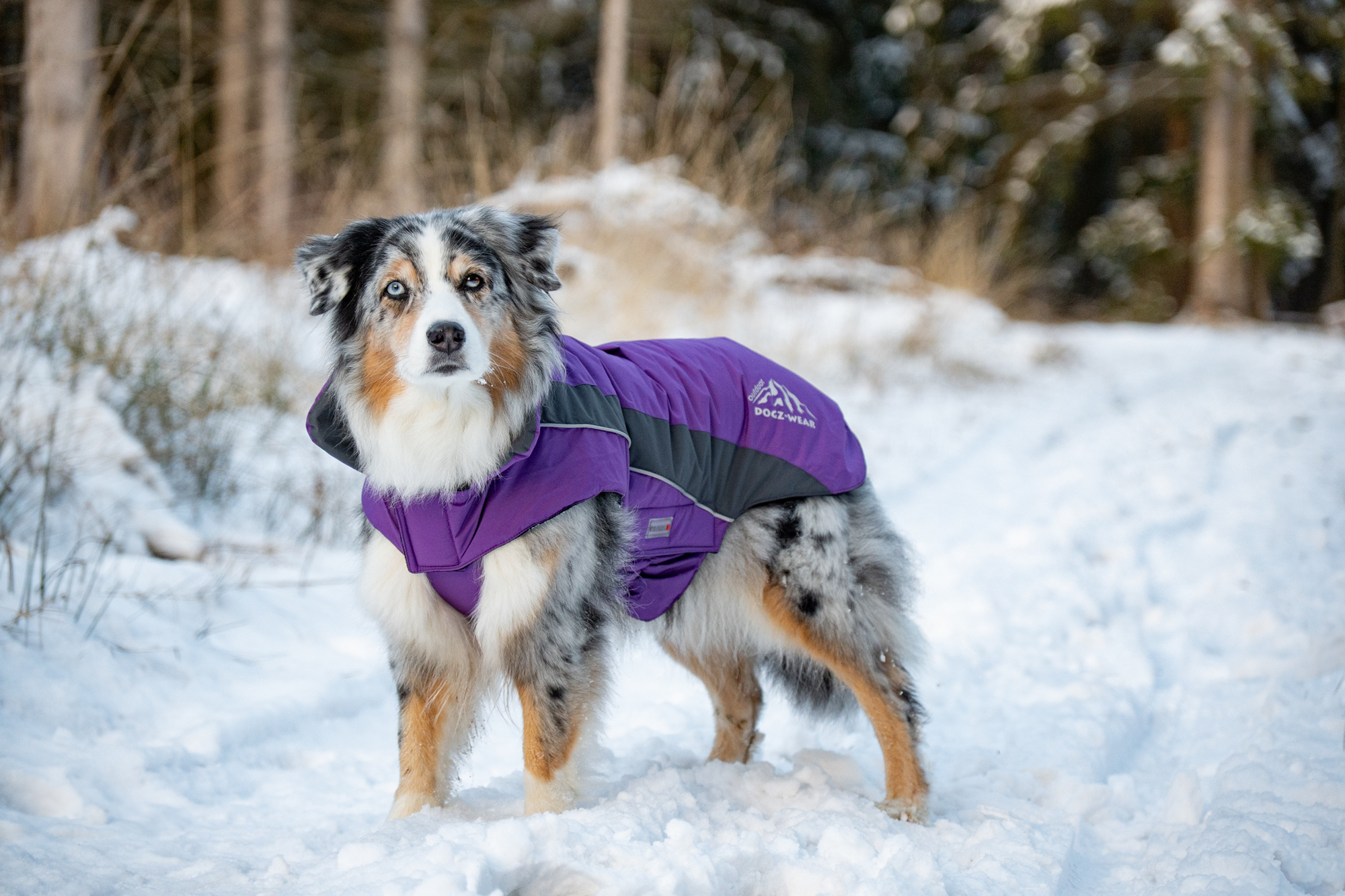 Dogz-Wear Ski Jacket