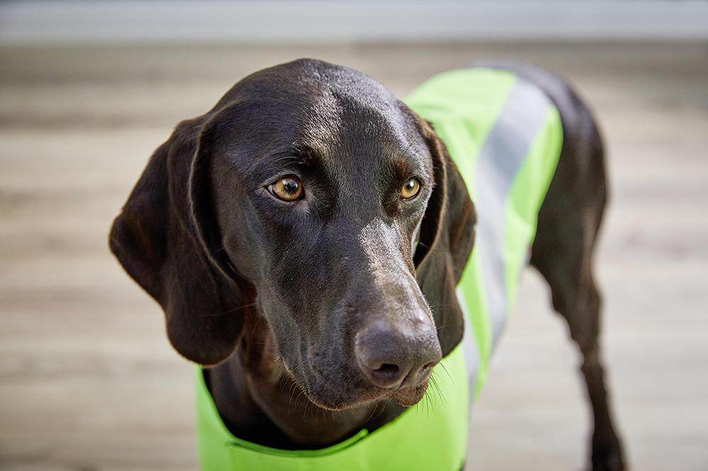 Escape-proof Vest Security