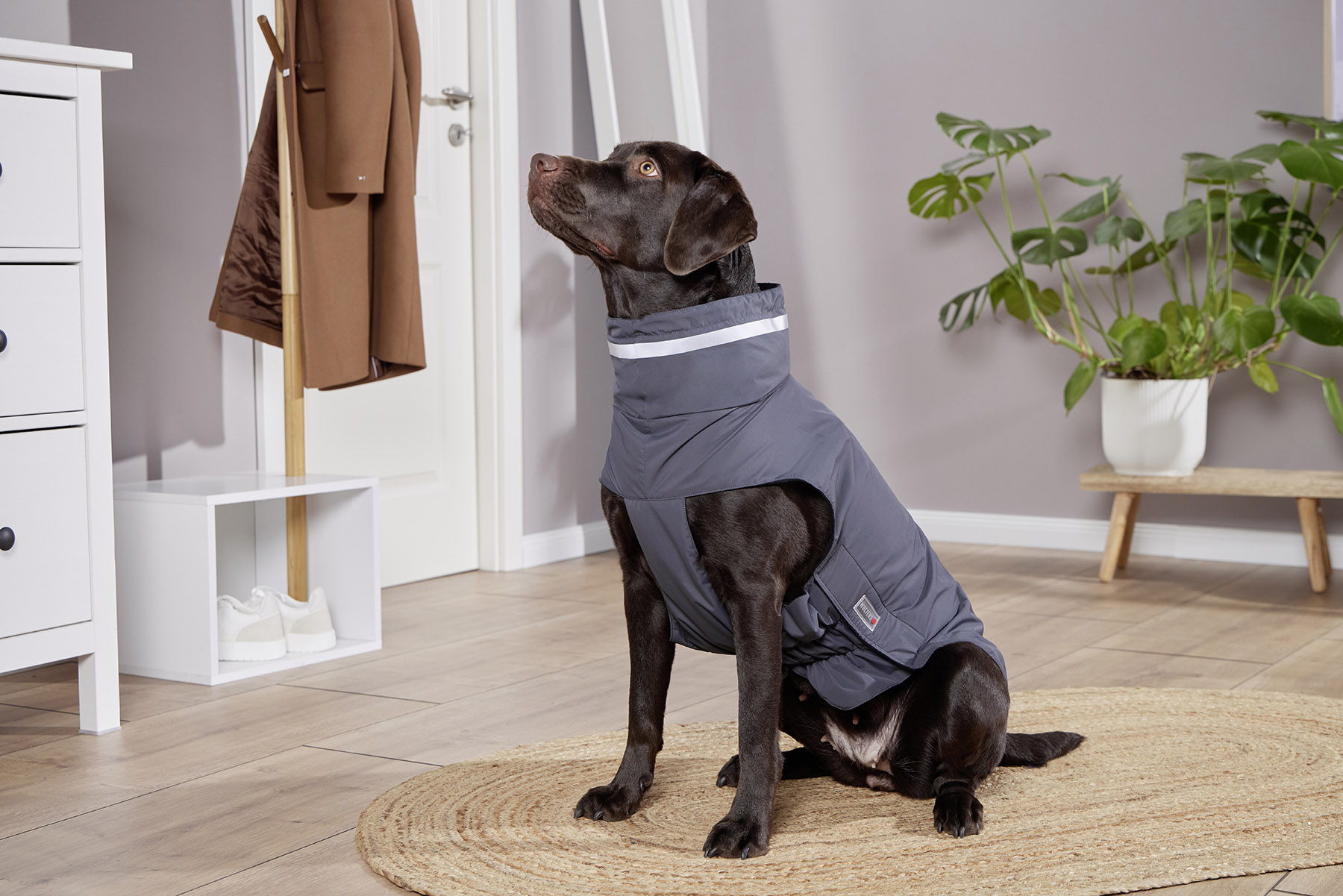Outdoorjacke Modern Classic