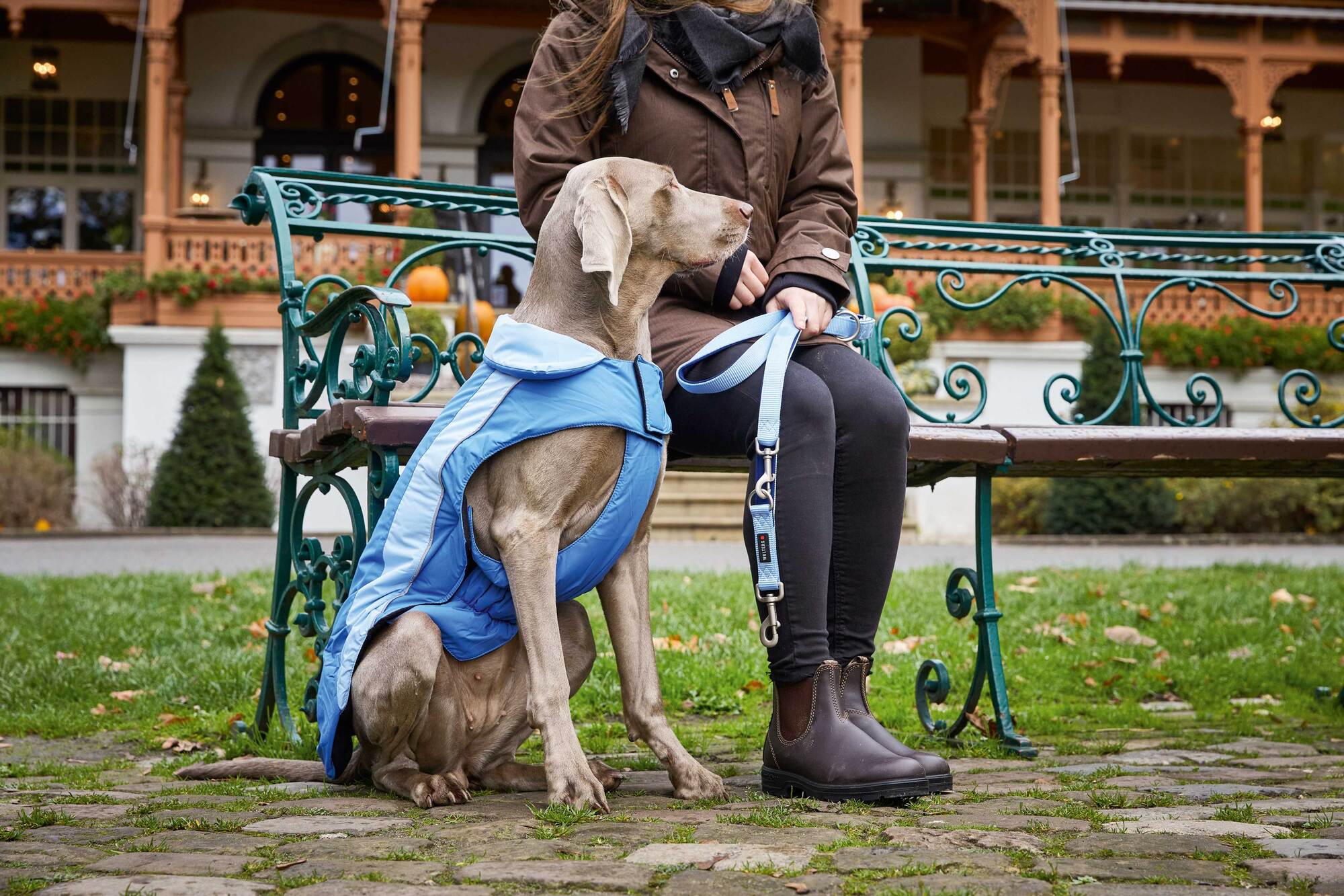 Ski Jacket Dogz-Wear