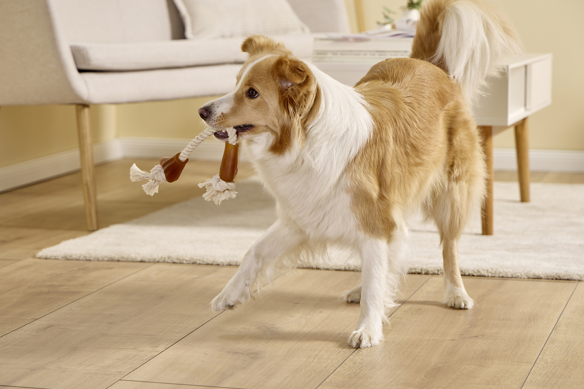 Pure Nature Tau-Spielzeug Knochen WOLTERS cat & dog GmbH