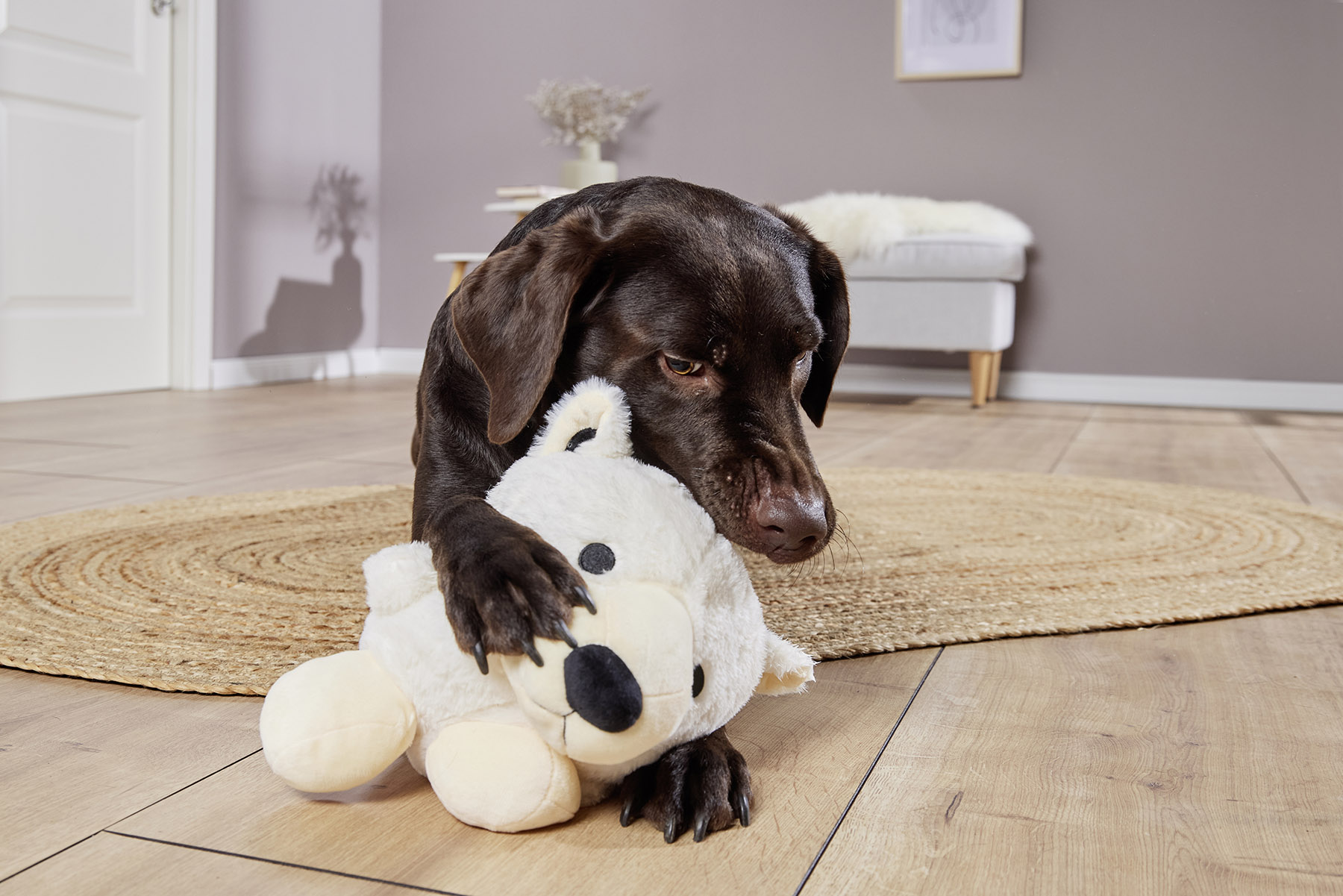  WOLTERS cat & dog GmbH