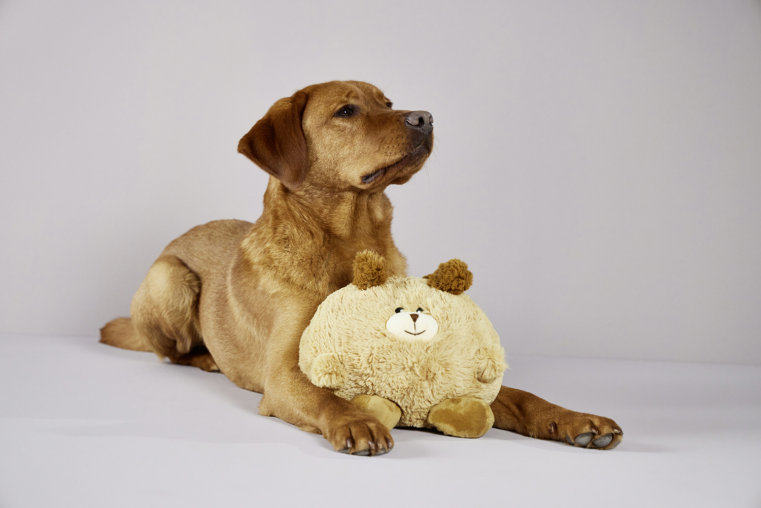  WOLTERS cat & dog GmbH