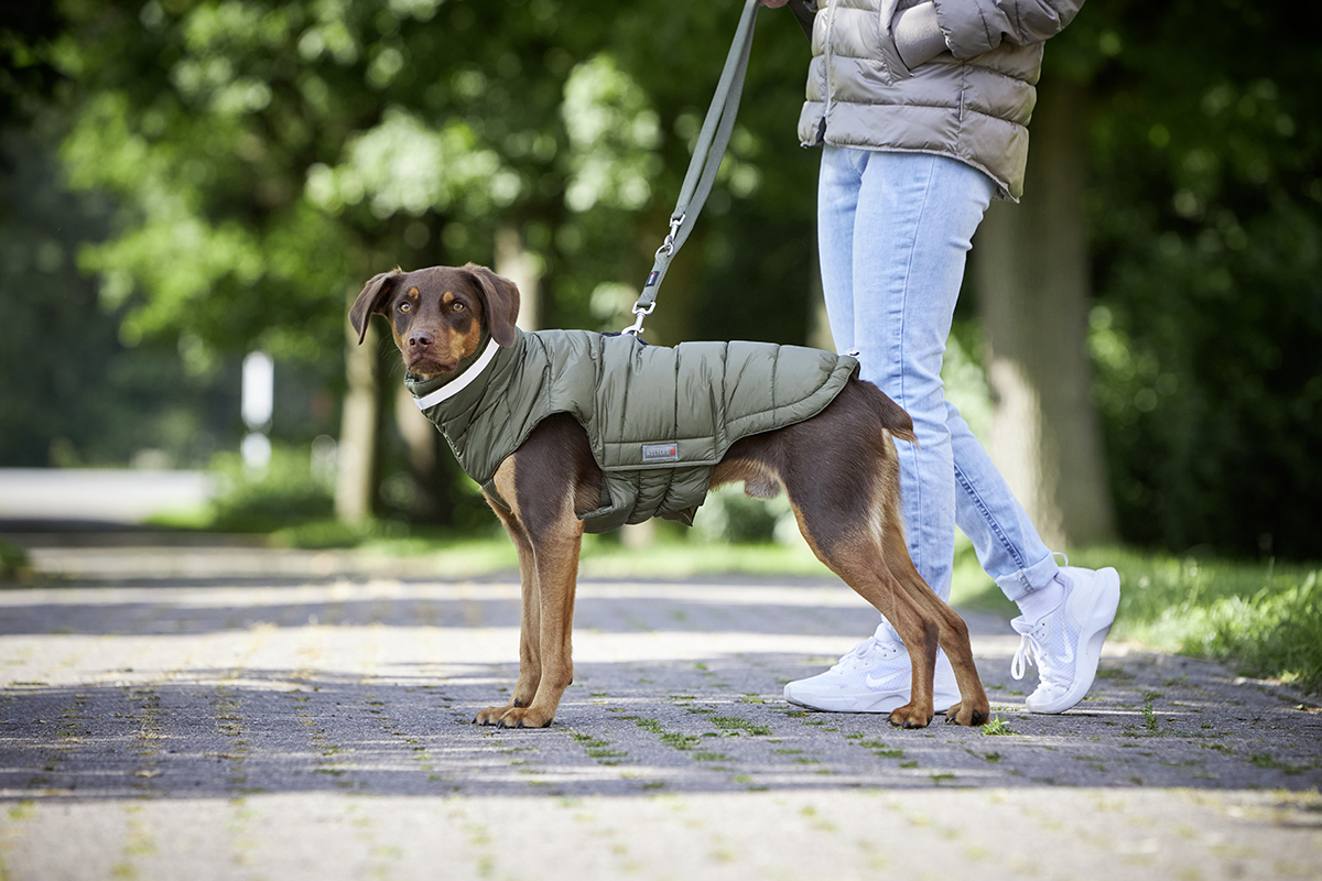Dog Duffle Coat Haustierbedarf Hunde Kleidung & Accessories Mäntel & Jacken BM Mäntel & Jacken 