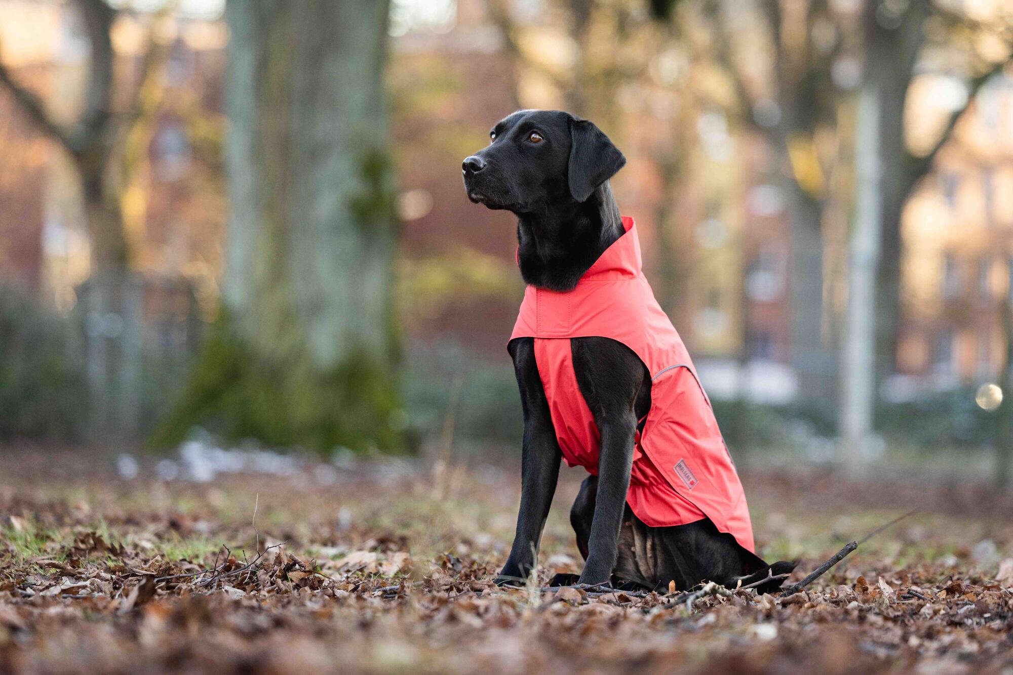 Easy Rain Raincoat