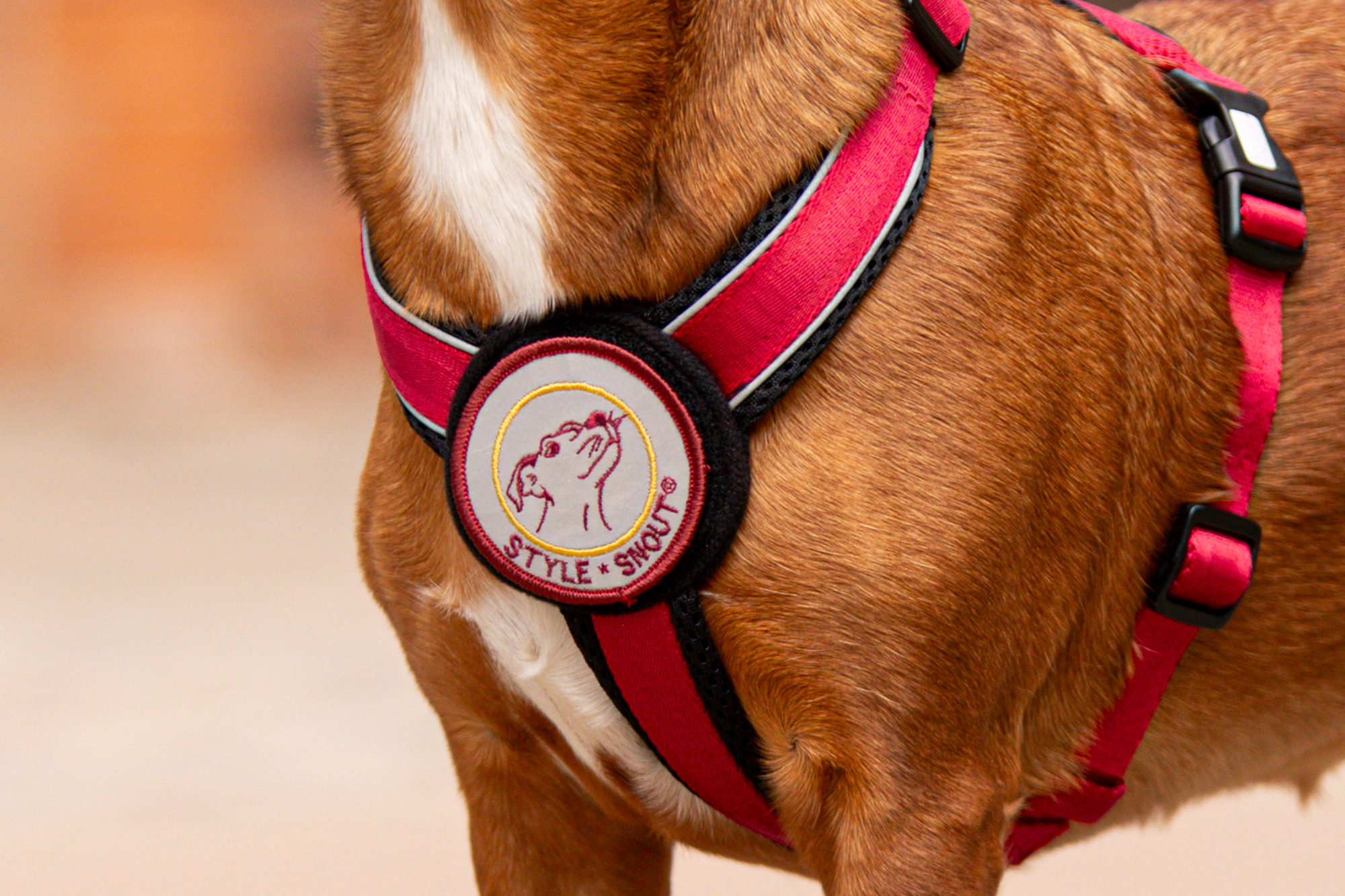 StyleSnout Patch&Style Harness