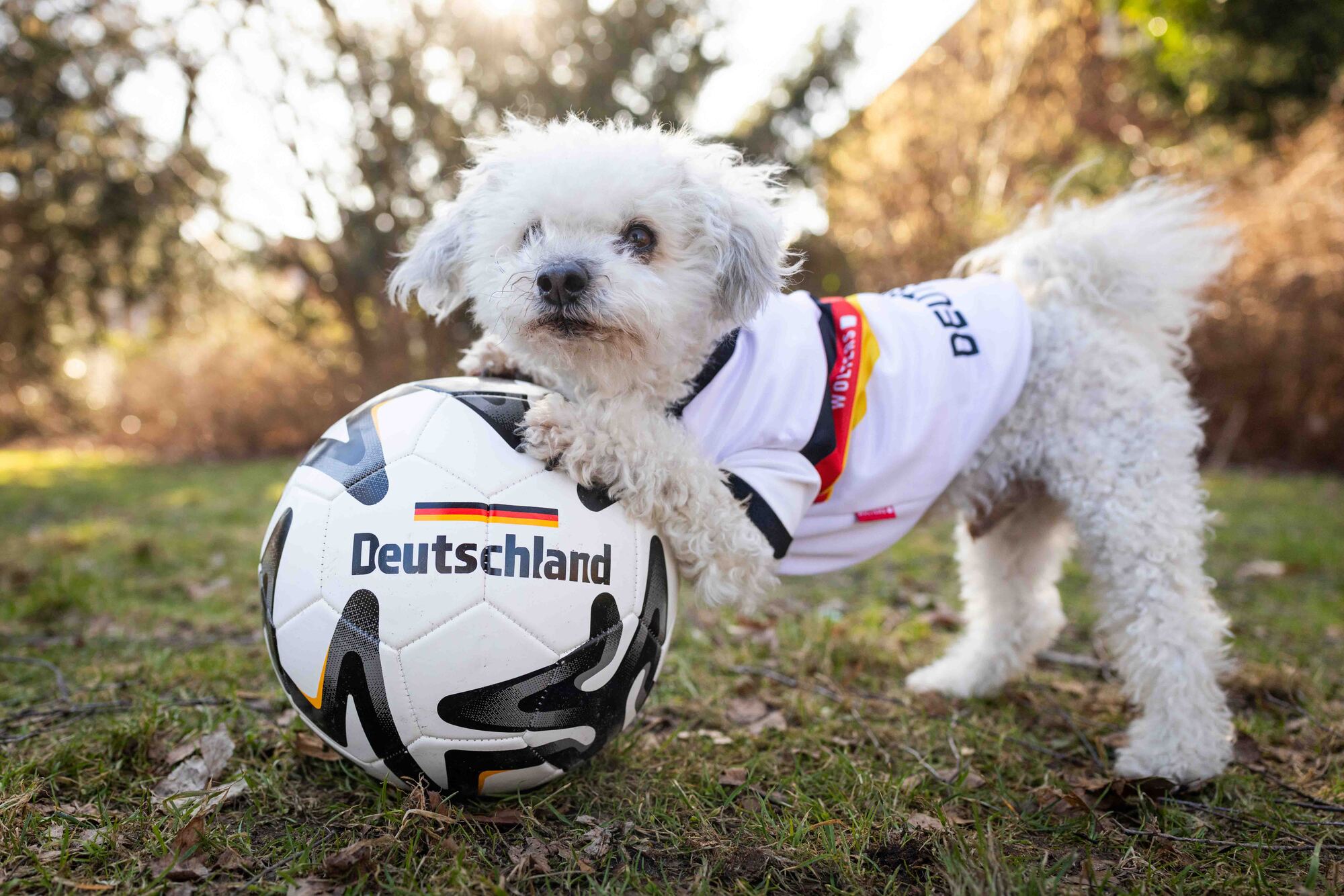 Germany Jersey
