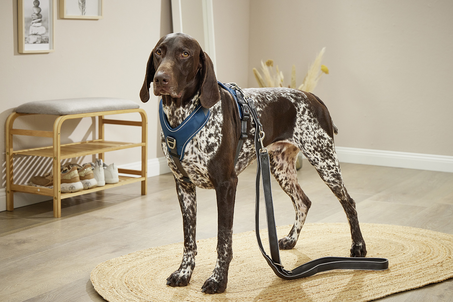 Active Pro Comfort Harness