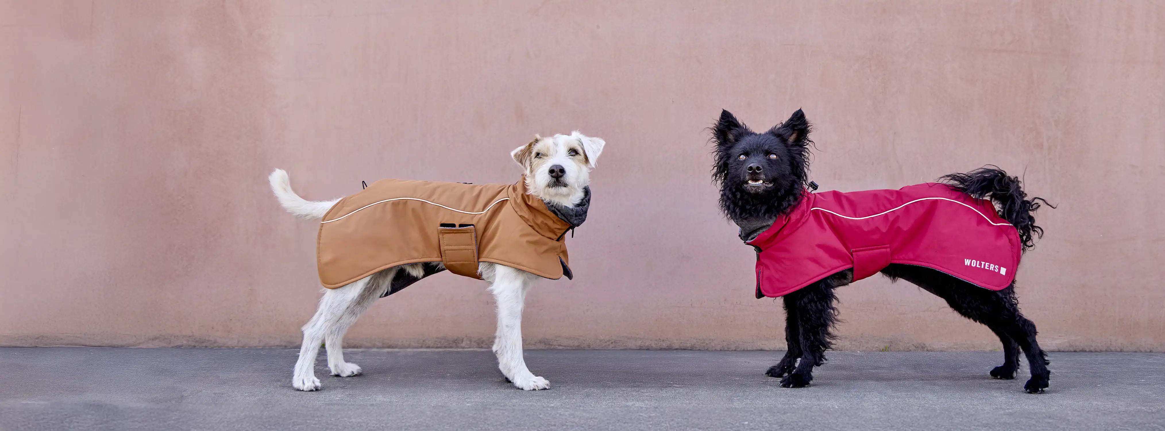 Regenjacken für Hunde