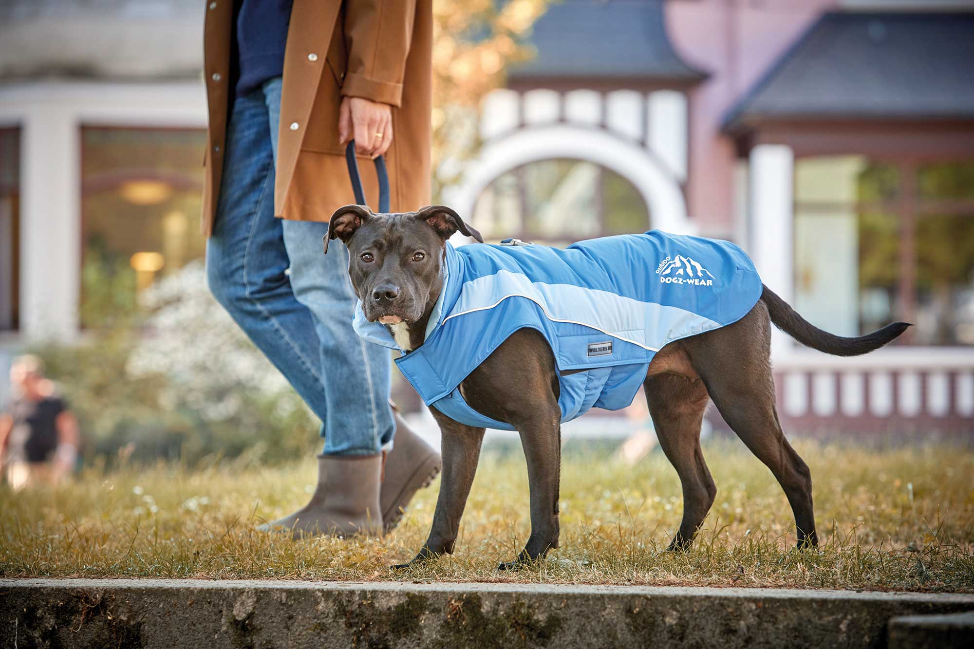  WOLTERS cat & dog GmbH