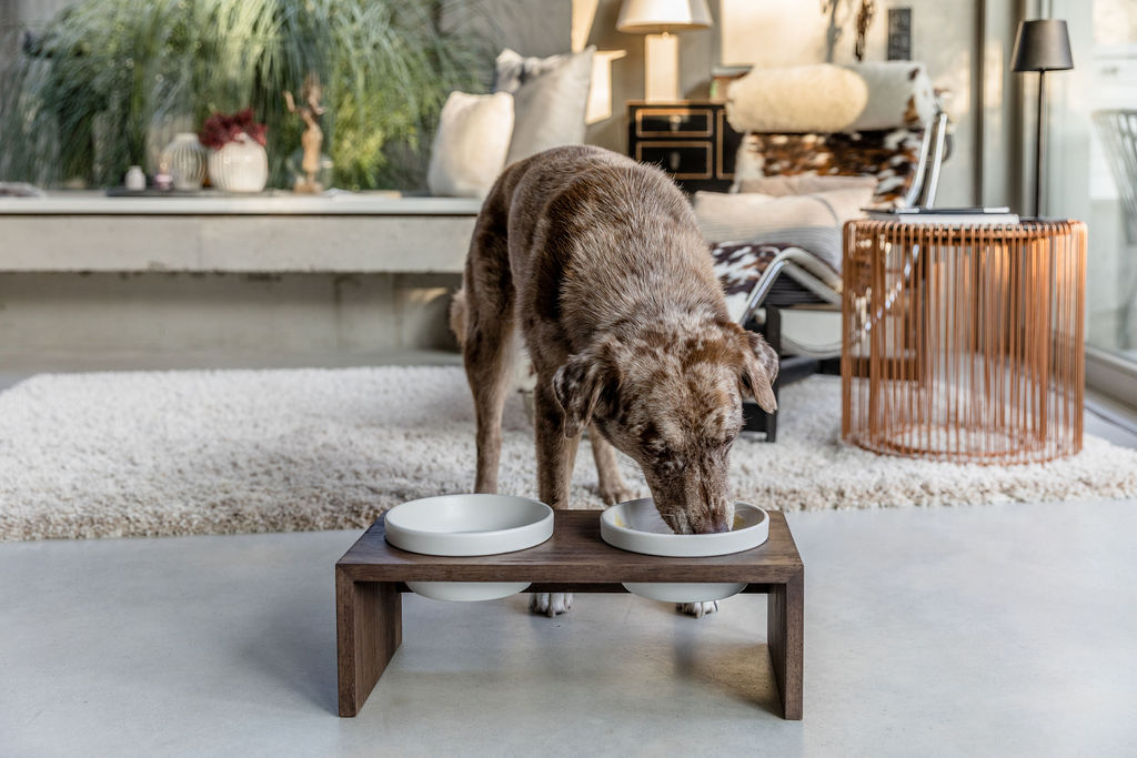  WOLTERS cat & dog GmbH