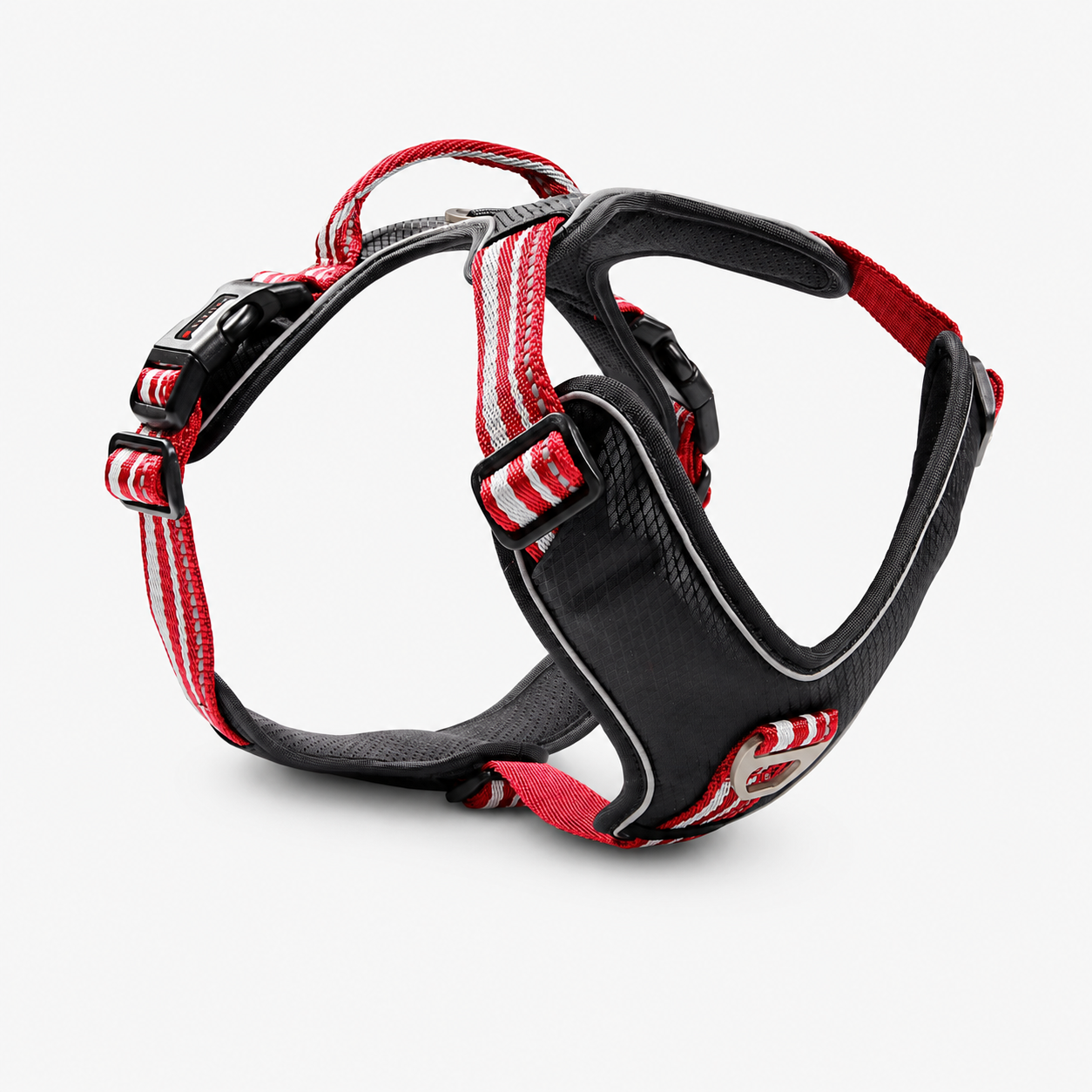 Active Pro Geschirr WOLTERS cat & dog GmbH