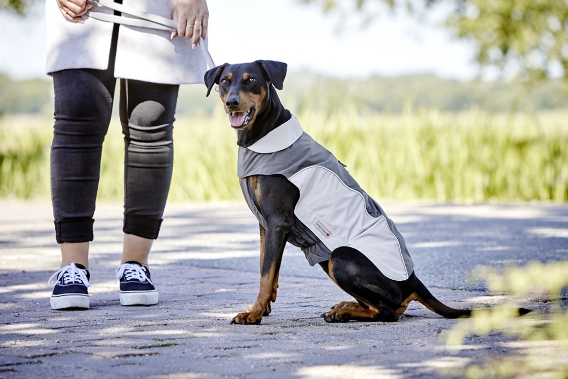  WOLTERS cat & dog GmbH