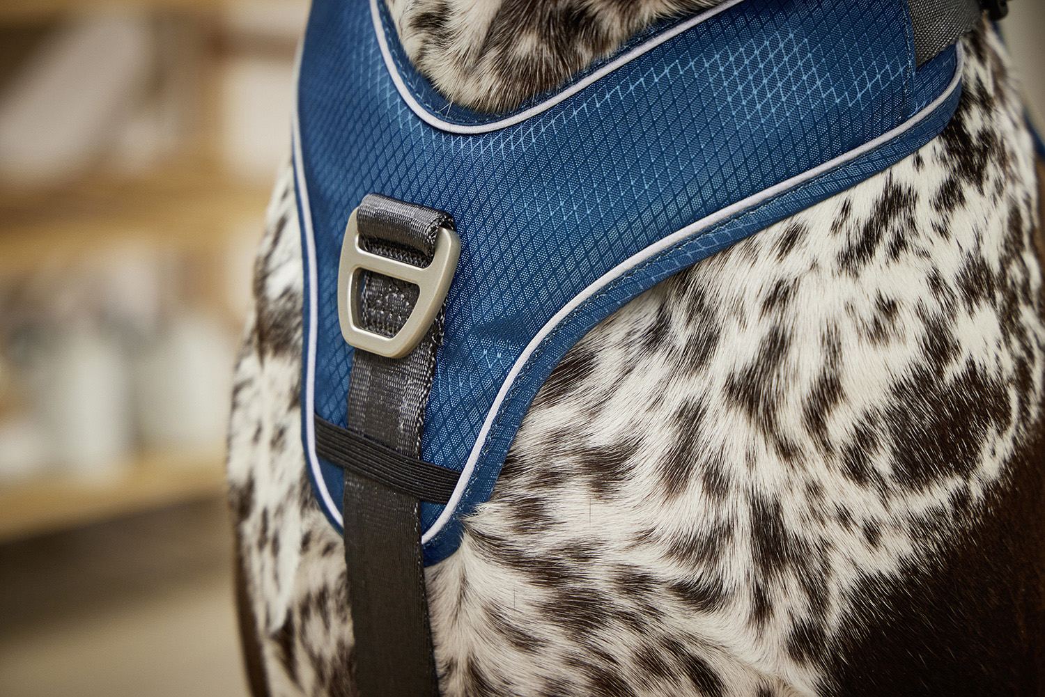 Active Pro Comfort Harness
