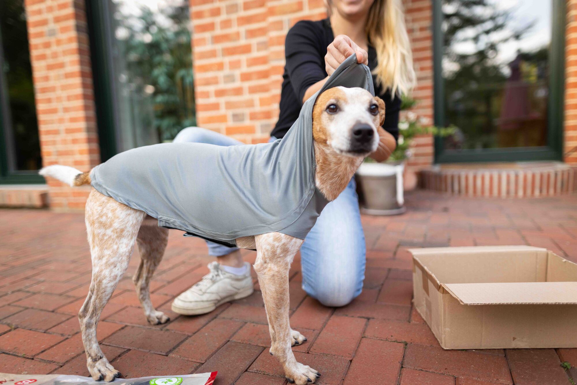 Easy Fit Hundebody