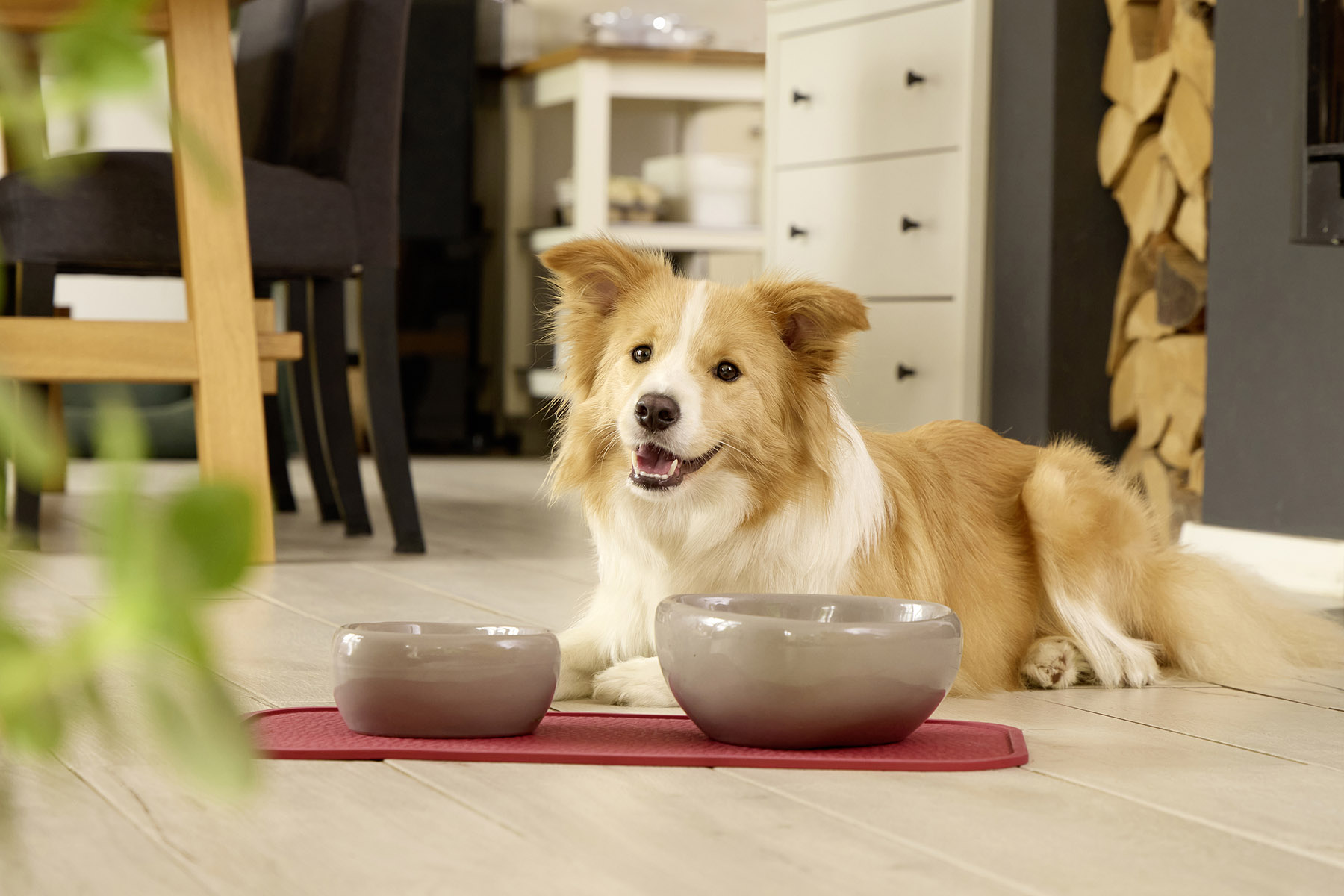 Bowl Mat Rainbow