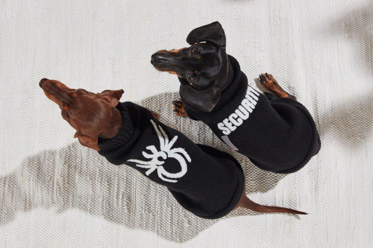Strickpullover Spider