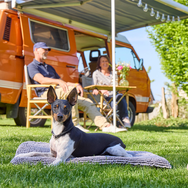 Tierbedarf WOLTERS cat & dog GmbH