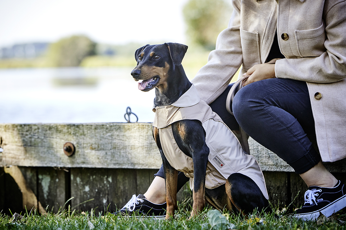  WOLTERS cat & dog GmbH