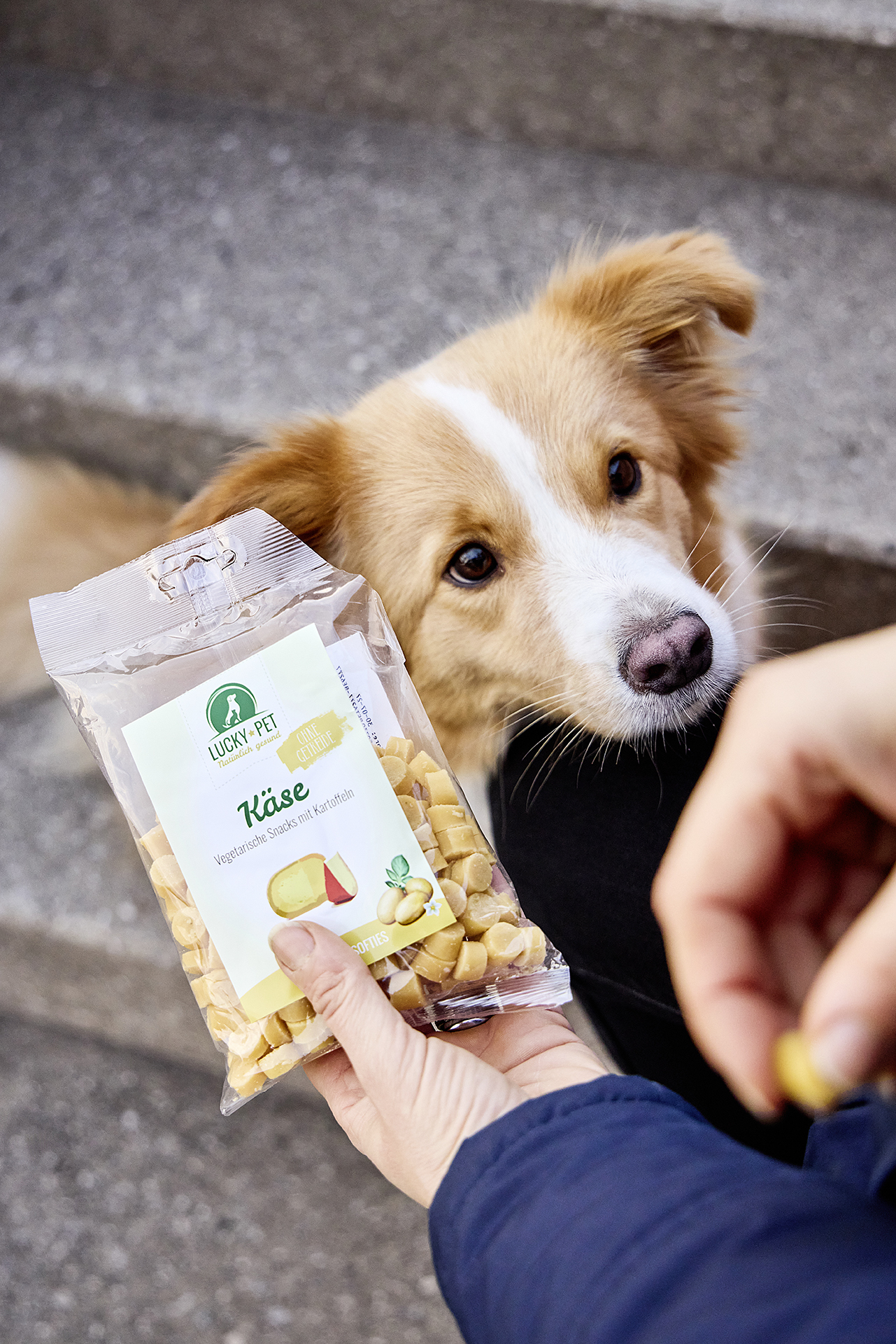 Lucky-Pet Kartoffelsofties mit Käse WOLTERS cat & dog GmbH
