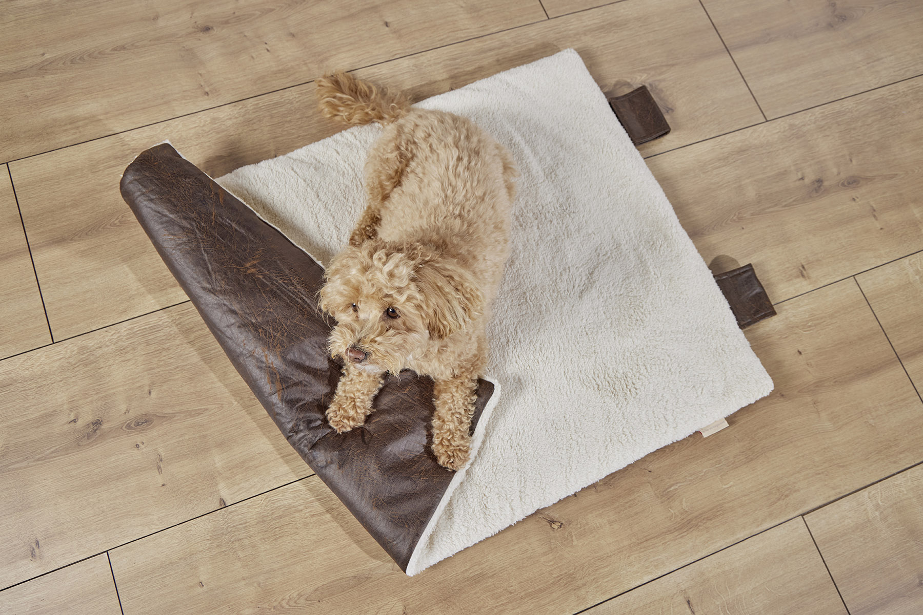  WOLTERS cat & dog GmbH