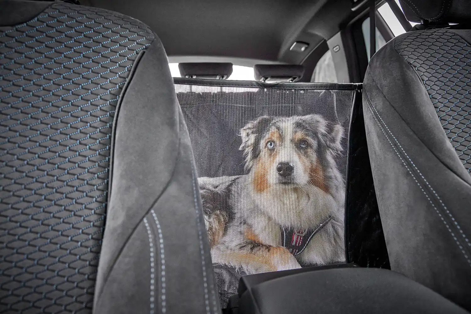 Clean Car Pet Backseat Cover