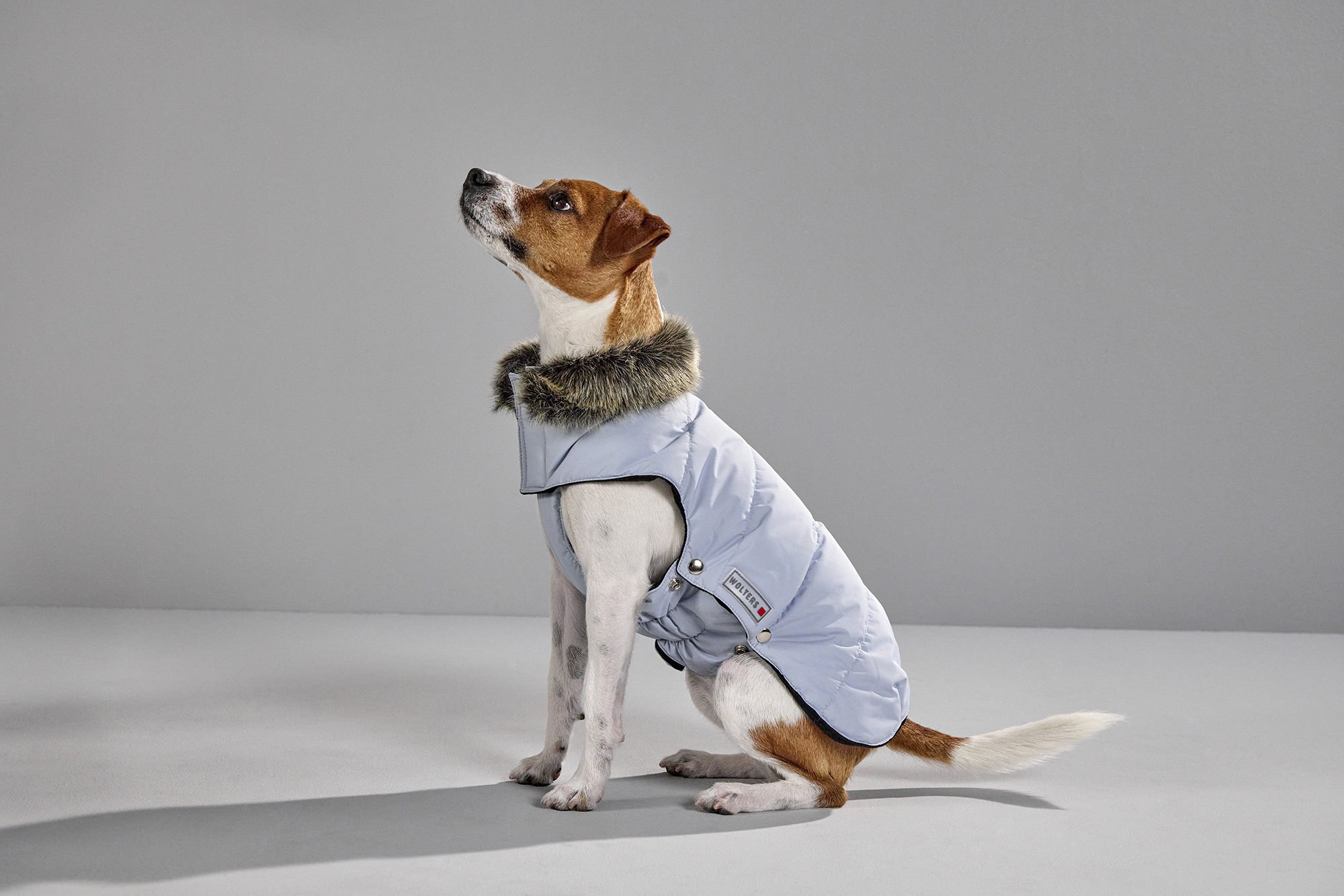  WOLTERS cat & dog GmbH