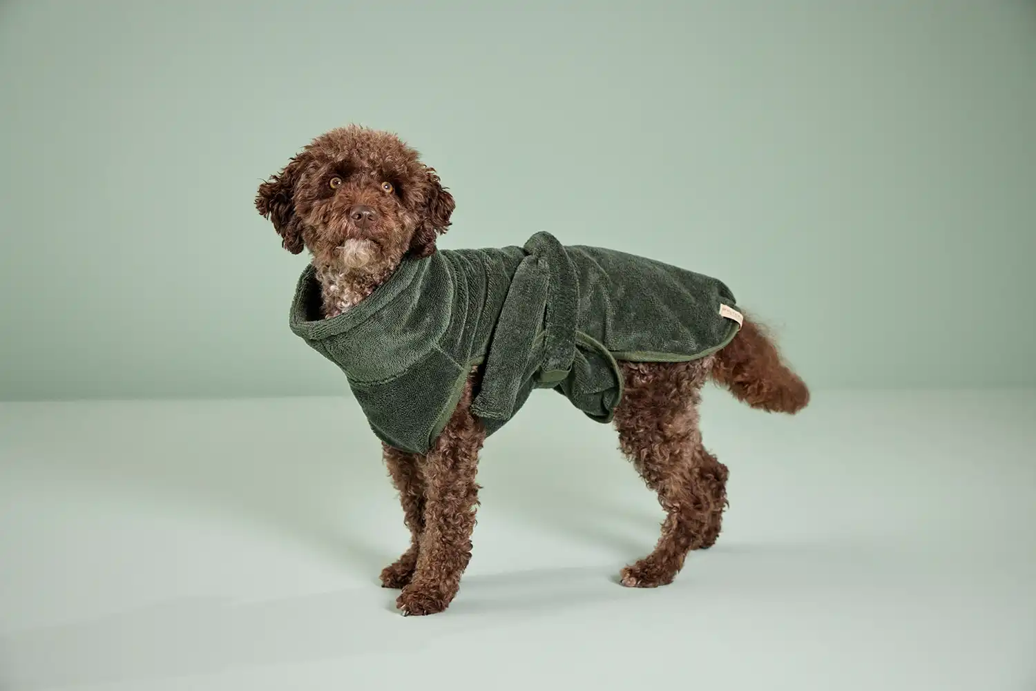 Easy Clean Dog Bathrobe