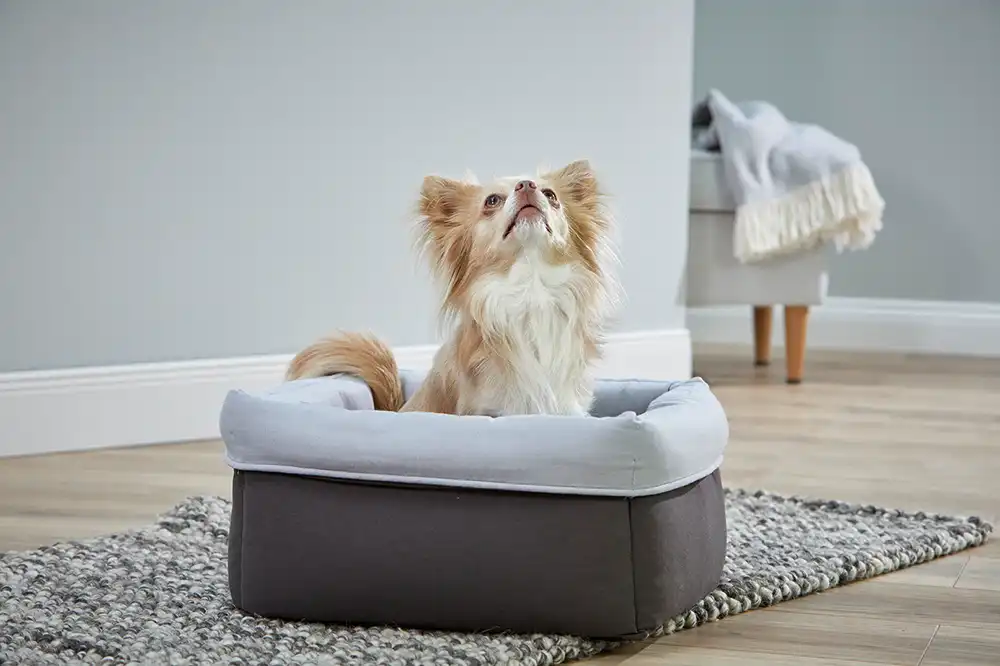 Eco-Well Hunde & Katzenbett quadratisch