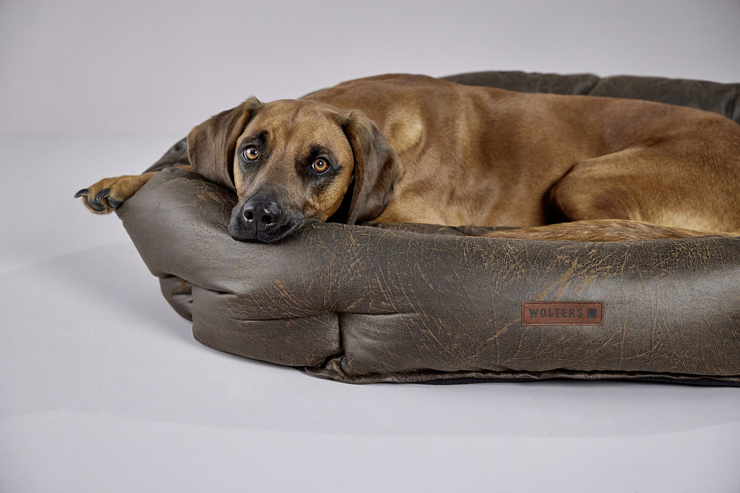 Vintage dog basket