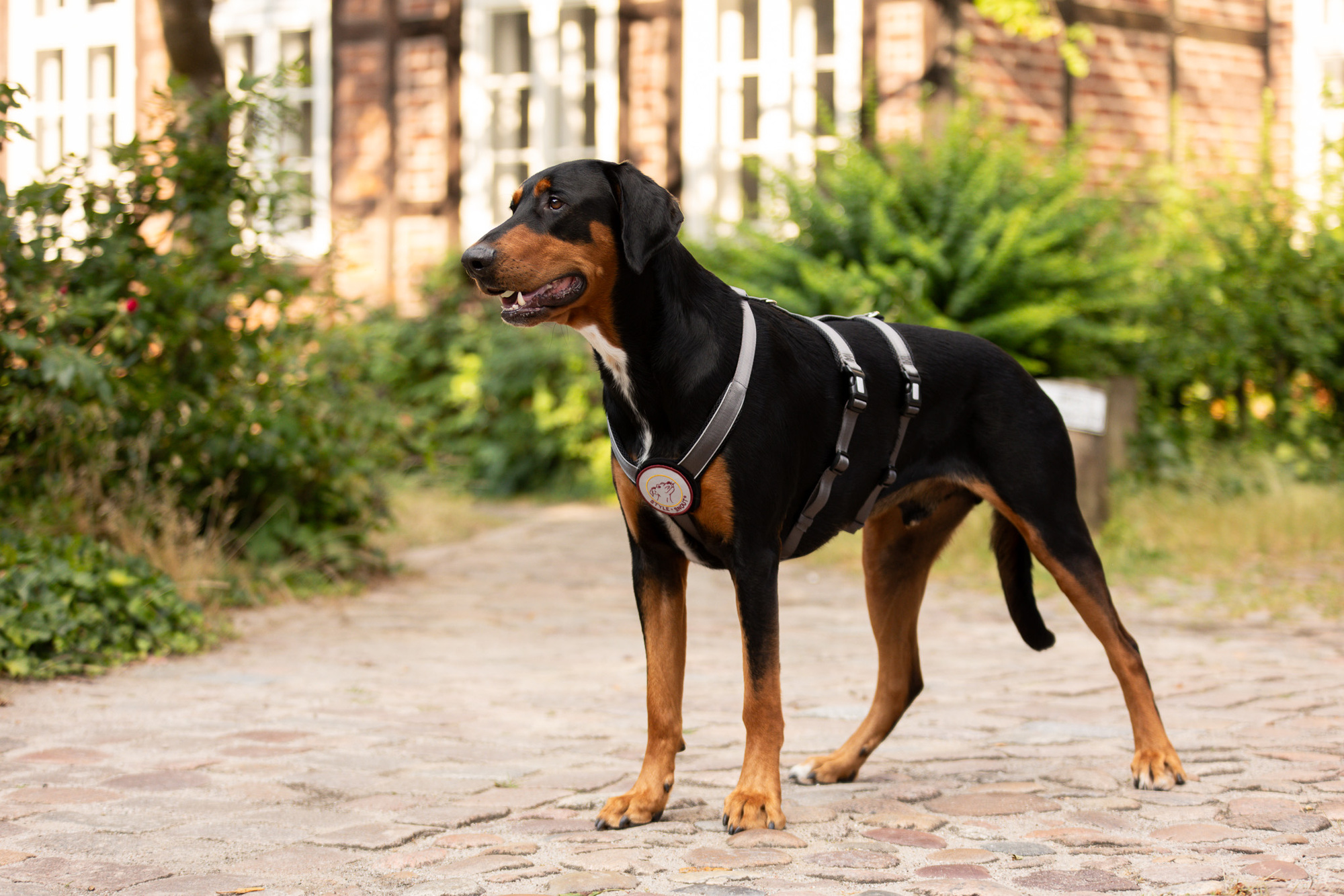 StyleSnout Patch&Safe escape-proof harness