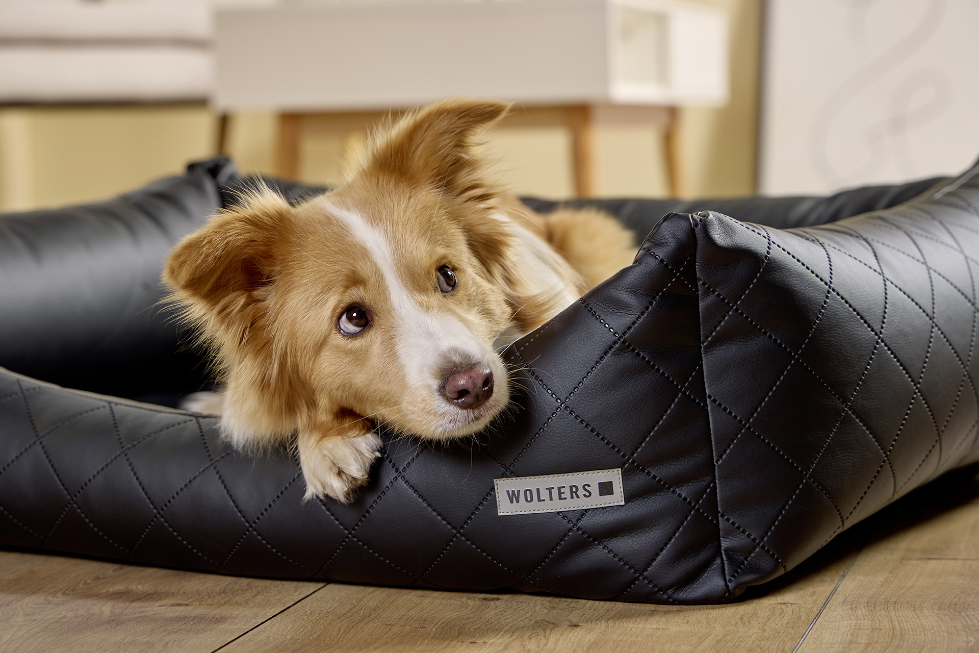 Ortho Care Hundelounge WOLTERS cat & dog GmbH