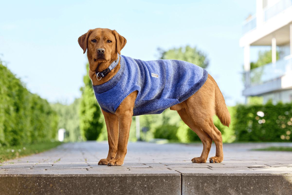 WOLTERS Strickpullover Sky