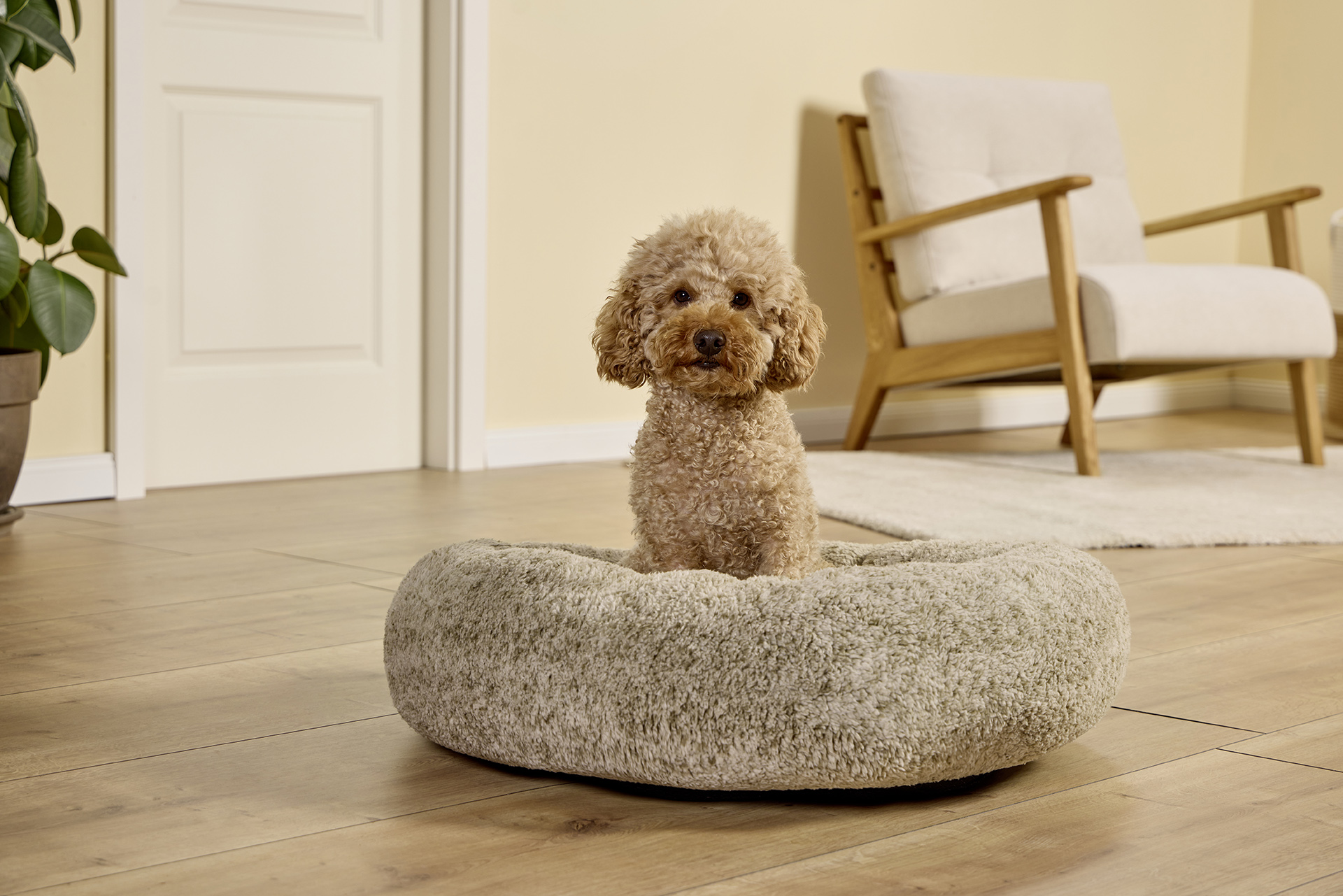 Sweet Dreams dog basket