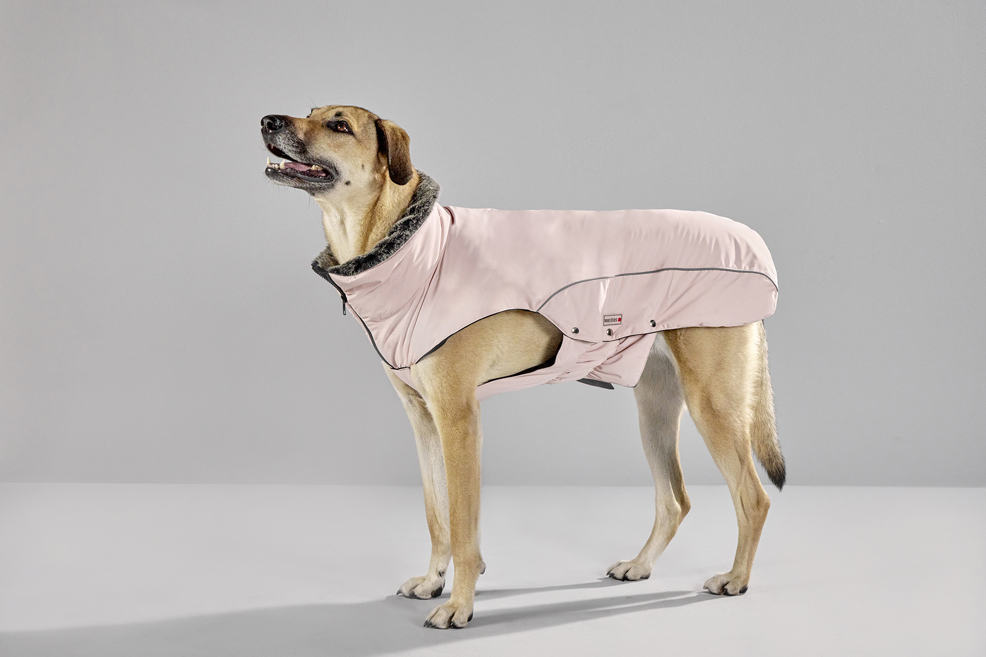 Amundsen Winter Coat