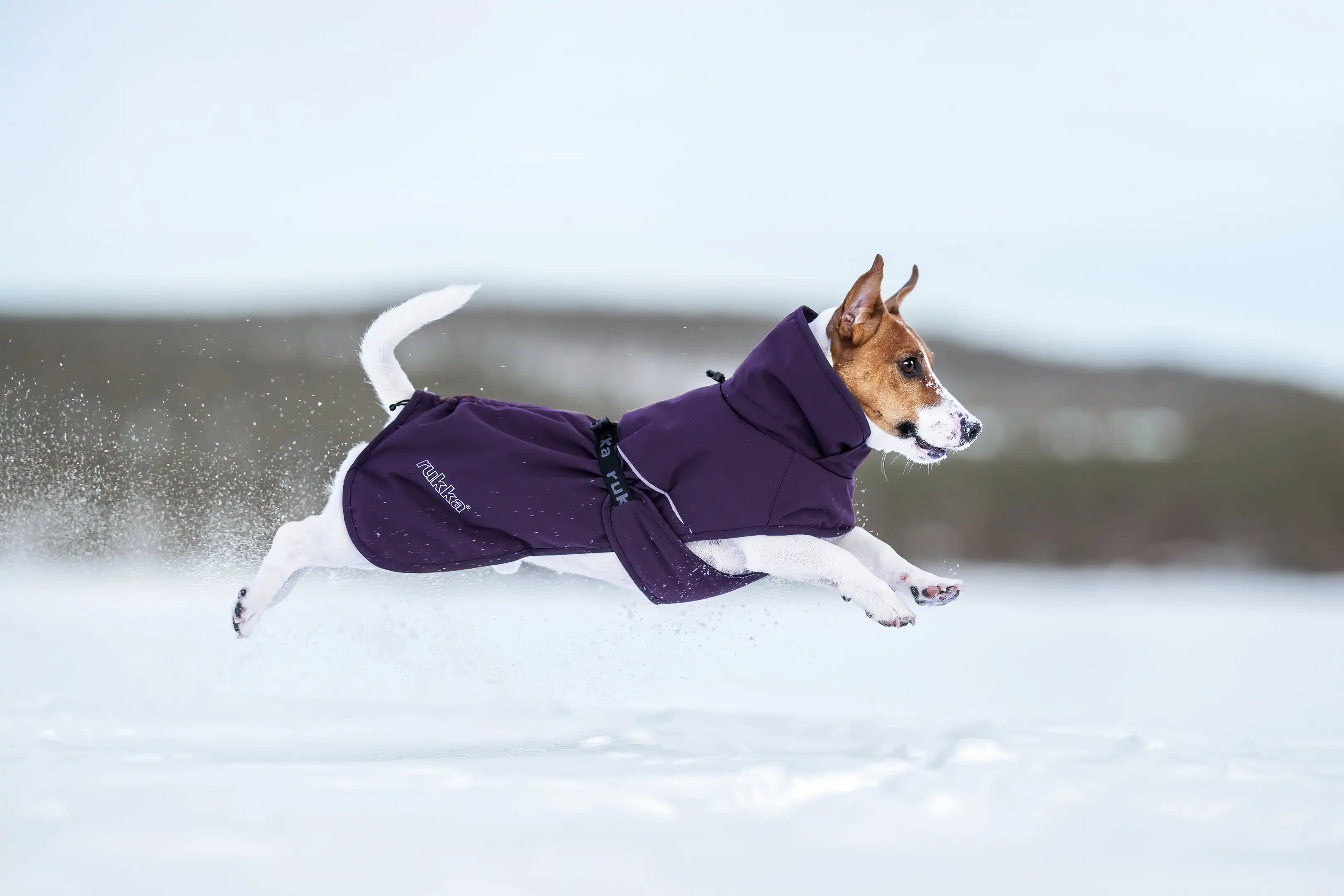 RUKKA Pets Winter Coat Trust Foil