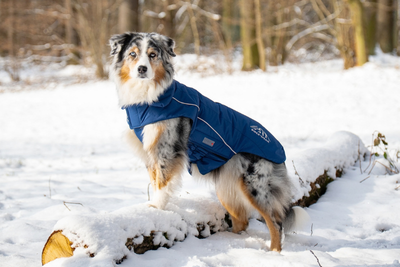 Tierbedarf WOLTERS cat & dog GmbH