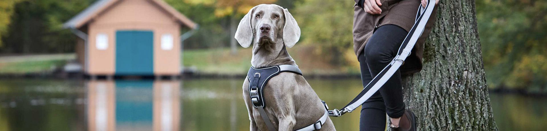 Tierbedarf WOLTERS cat & dog GmbH
