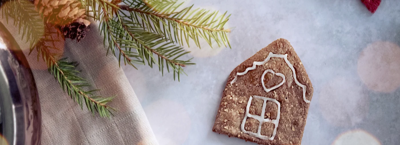 Gingerbread for dogs – easy, healthy and tasty!