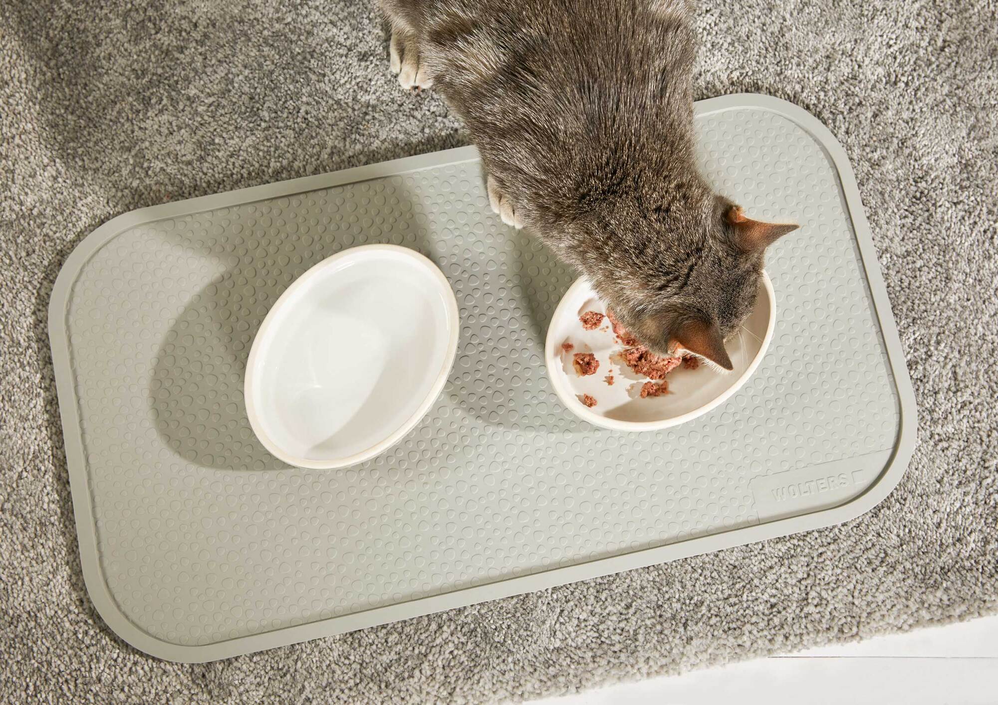Diner Stone für Katzen