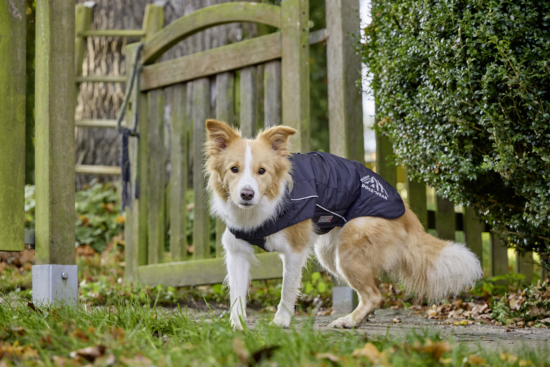  WOLTERS cat & dog GmbH