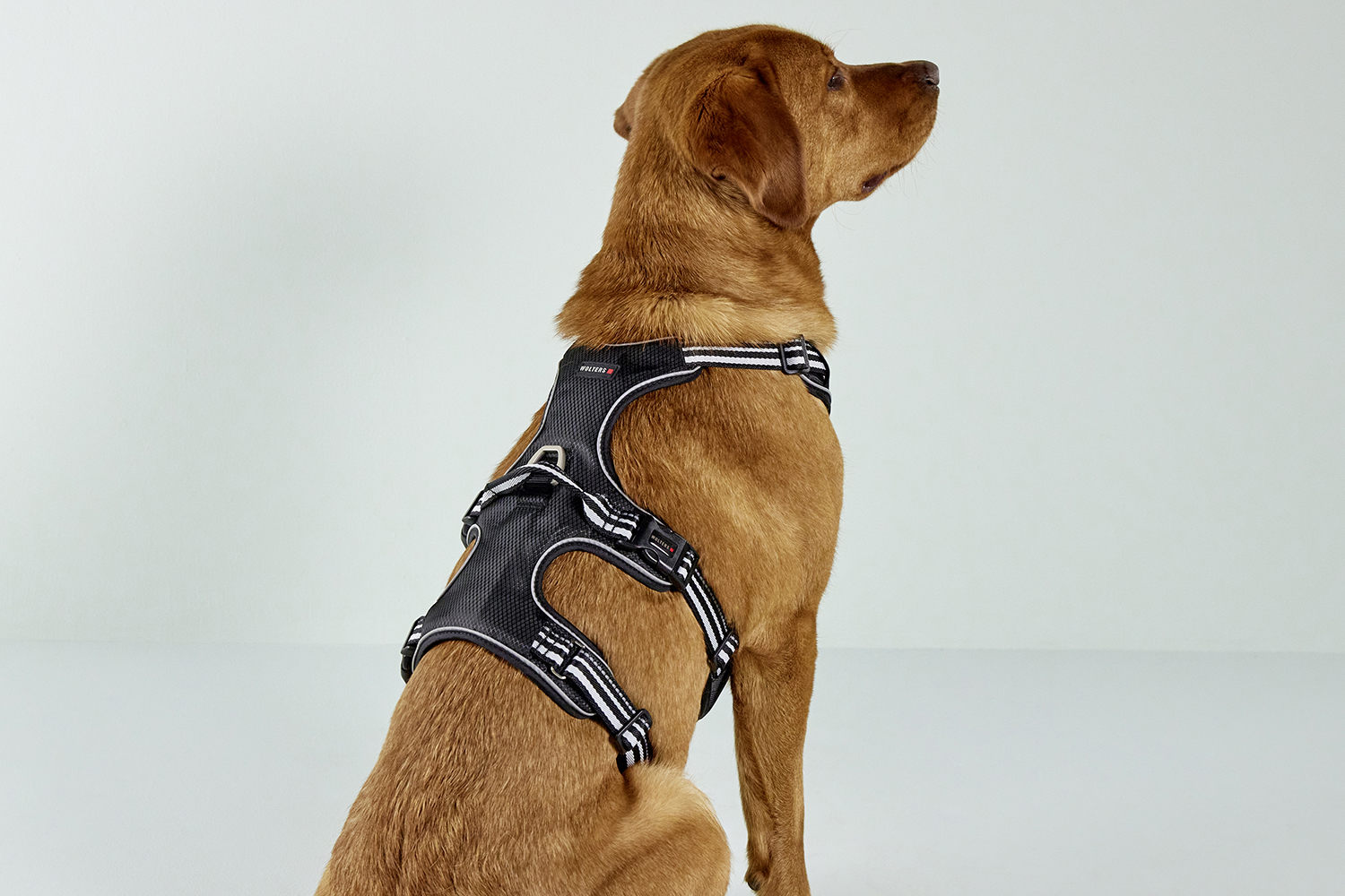 Active Pro harness No Escape 