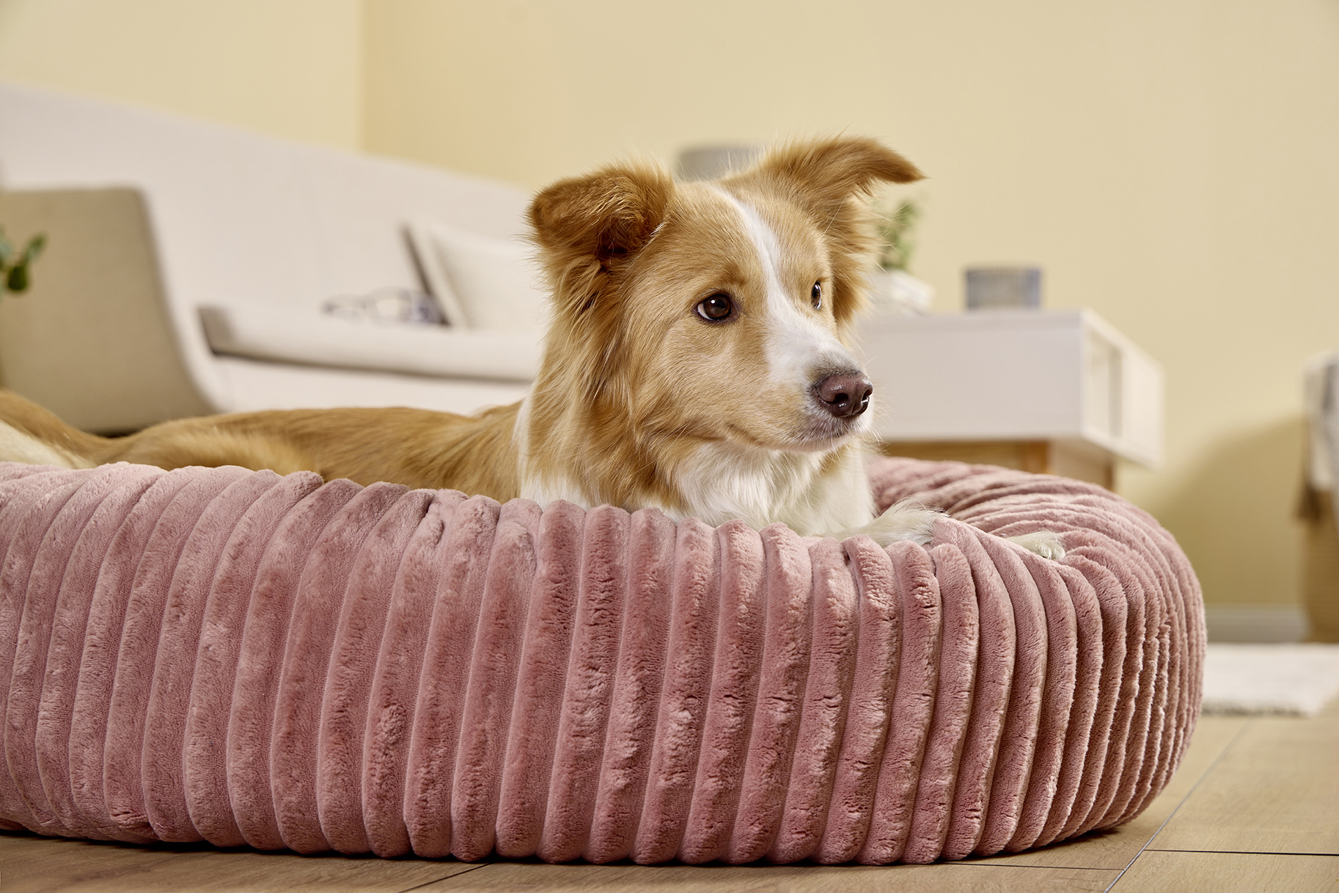 Soft Supreme dog basket